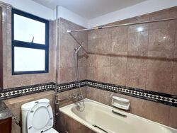 Dover Parkview (D5), Condominium #528931561